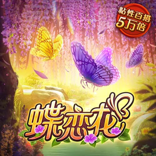 9944天下彩网