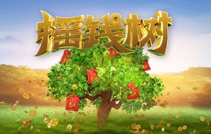 金年华体育平台官网入口