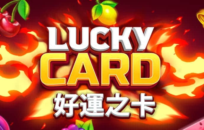杨红公式论坛